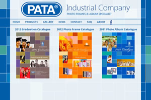 PATA Co. Website Concept